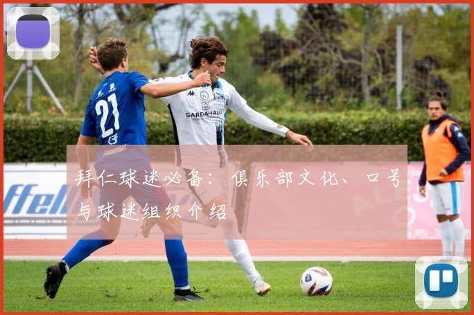 拜仁球迷必备:俱乐部文化、口号与球迷组织介绍
