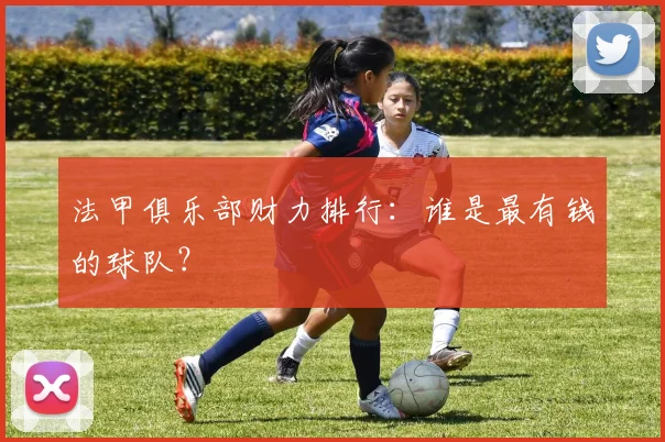 法甲俱乐部财力排行:谁是最有钱的球队?
