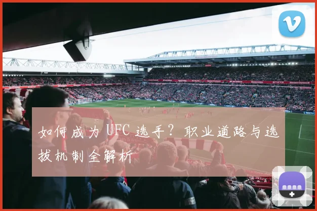 如何成为 UFC 选手？职业道路与选拔机制全解析