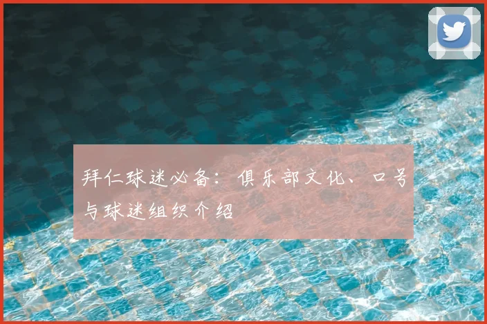拜仁球迷必备：俱乐部文化、口号与球迷组织介绍