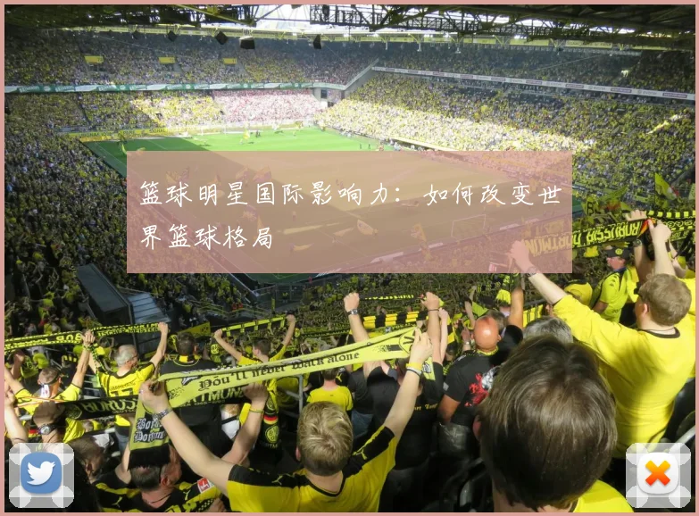 篮球明星国际影响力:如何改变世界篮球格局